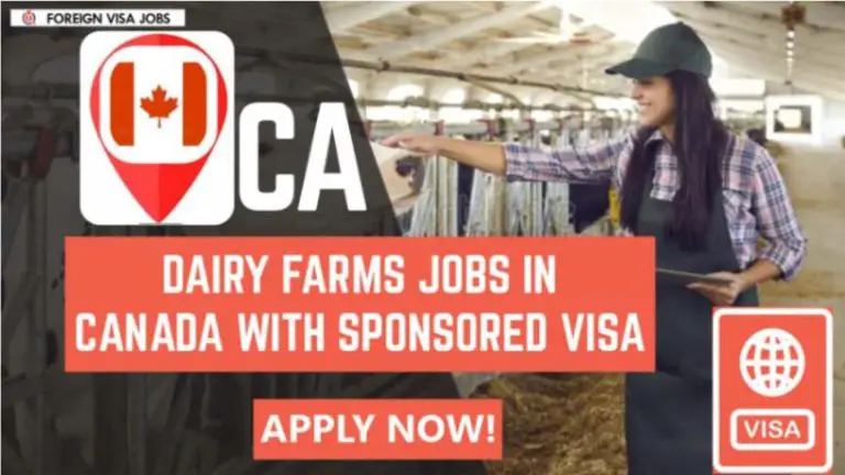 Dairy Farm Jobs in Canada With Visa Sponsorship