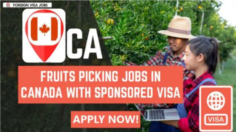 Fruit Picking Jobs in Canada With Visa Sponsorship