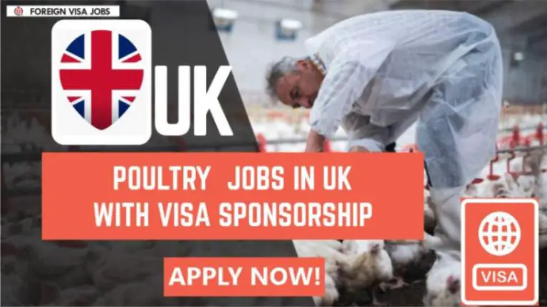 Poultry farm jobs in UK with free Visa Sponsorship