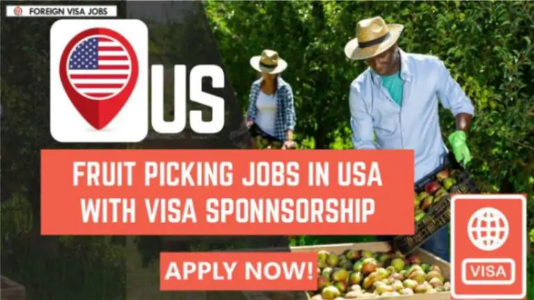 Fruit Picking Jobs in USA with Visa Sponsorship